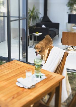 太陽光発電の導入を検討しているなら