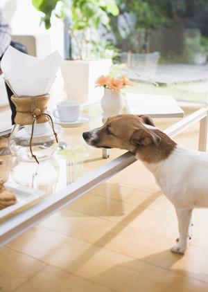 塗り壁材を探しているなら便利な通販サイトがあります